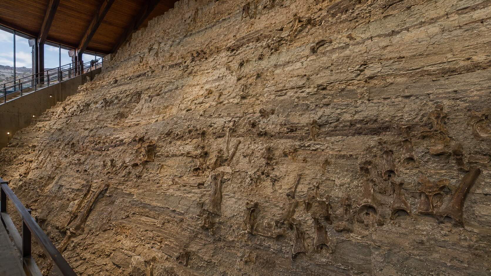 Morrison Formation fossiilikerrostuma — dinosaurusten luita kalliossa