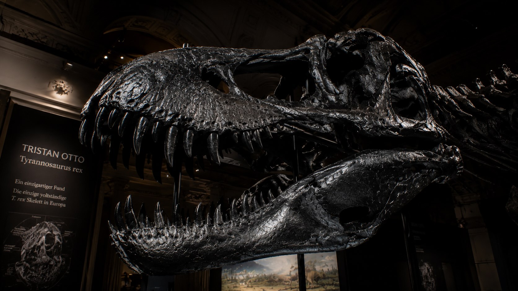 Tristan Otto - Tyrannosaurus rex -fossiili museonäyttelyssä