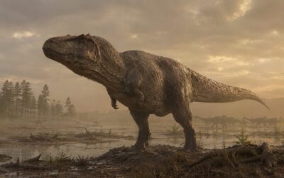 Tyrannosaurus rex
