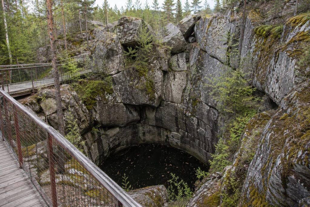 Sukulanrakan hiidenkirnut Rovaniemellä