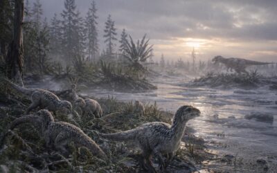 Oliko jääkausia dinosaurusten aikana?
